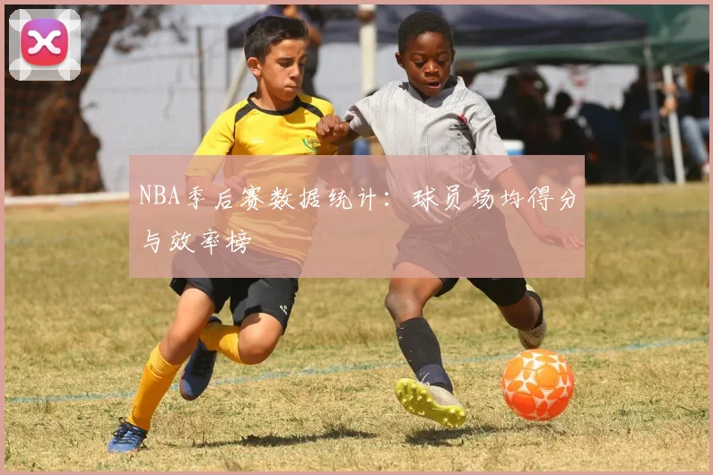 NBA季后赛数据统计：球员场均得分与效率榜