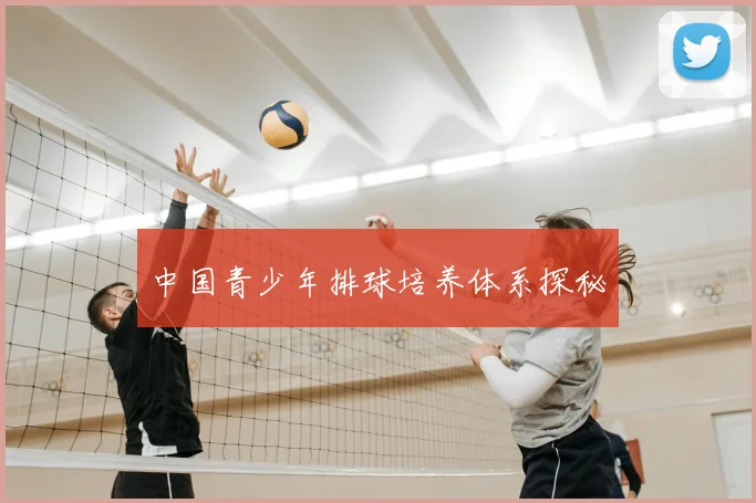 中国青少年排球培养体系探秘