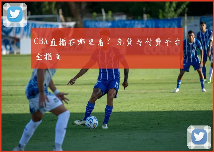 CBA直播在哪里看？免费与付费平台全指南
