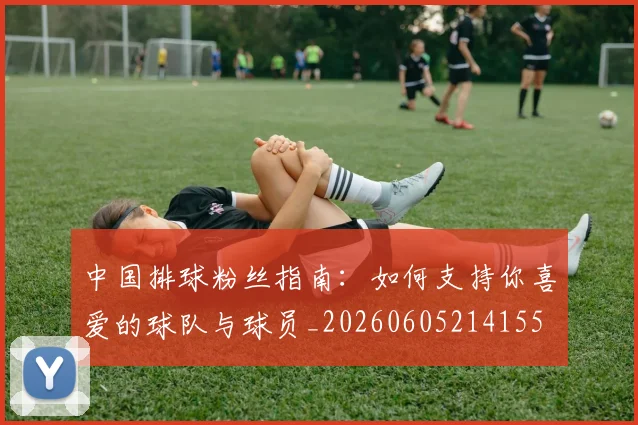 中国排球粉丝指南:如何支持你喜爱的球队与球员_20260605214155
